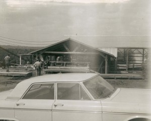 frontal view of the original sawmill facility at Linden in the 1960s