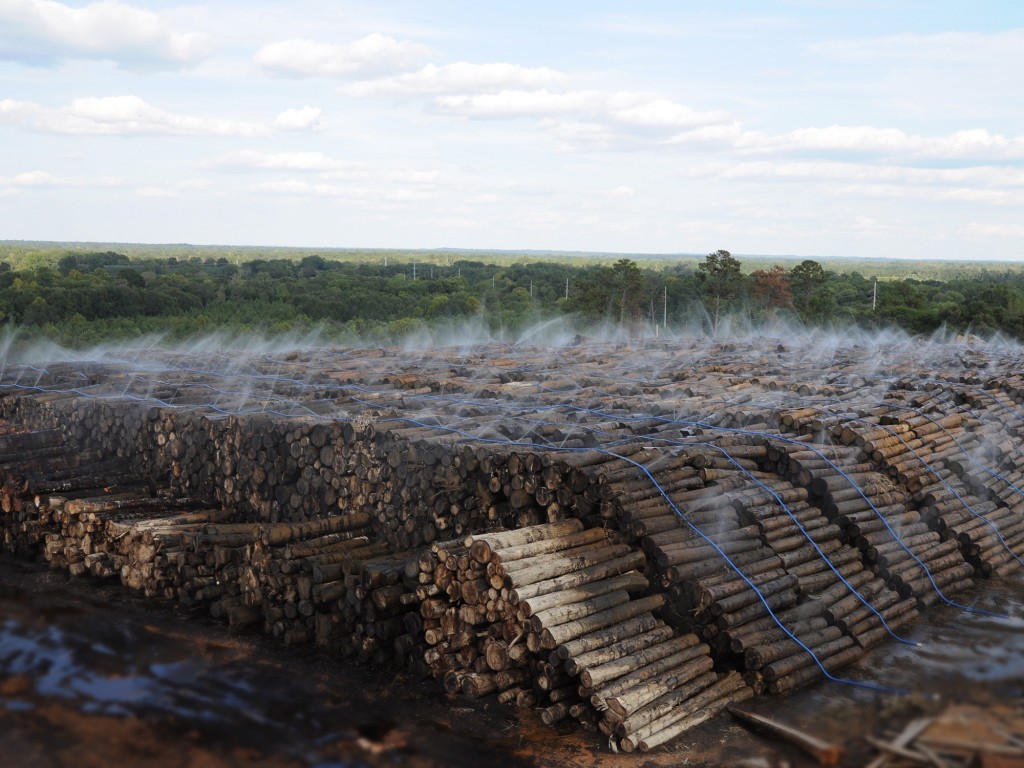 logs